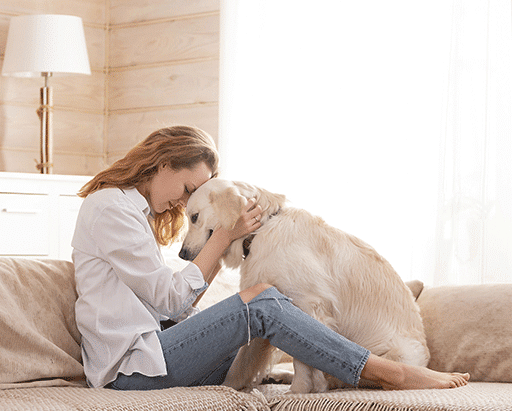 Heating, Cooling, Plumbing & More for Franklin, IN Johnson Heating, Cooling, and Plumbing 