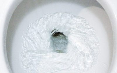 5 Things to do if Something Valuable Gets Flushed Down the Toilet